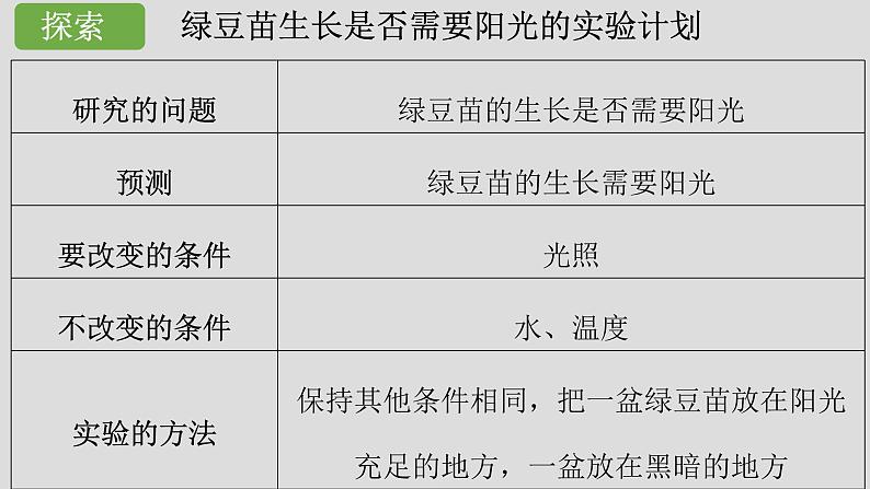 小学科学 五年级下《绿豆苗的生长》 课件第6页