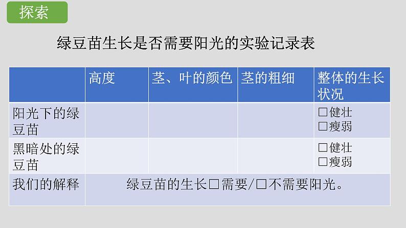 小学科学 五年级下《绿豆苗的生长》 课件第7页