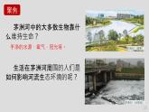 小学科学 五年级下 分析一个实际的环境问题 课件