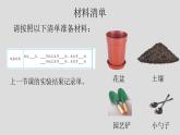 小学科学 五年级下《比较种子发芽实验》 课件