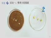 小学科学 五年级下《比较种子发芽实验》 课件