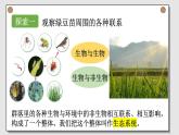 小学科学 五年级下《设计和制作生态瓶》（PPT） 课件