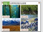 小学科学 五年级下《设计和制作生态瓶》（PPT） 课件