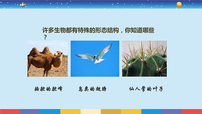 小学科学 教科版 六年级《原来是相互关联的》课件02