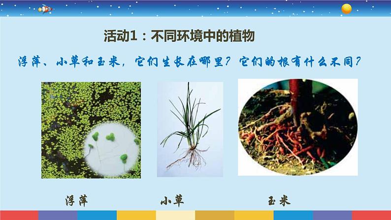 小学科学 教科版 六年级《原来是相互关联的》课件04