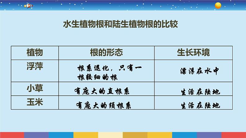 小学科学 教科版 六年级《原来是相互关联的》课件05