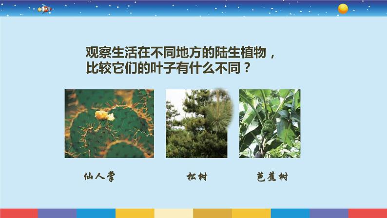 小学科学 教科版 六年级《原来是相互关联的》课件08