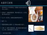 小学科学 教科版 六年级下册  《我们来造“环形山”》 PPT 课件