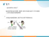 小学科学 教科版 六年级下册  《放大镜下的昆虫世界》 PPT 课件