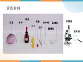 小学科学 教科版 六年级下册  《用显微镜观察身边的生命世界（一）》 PPT 课件