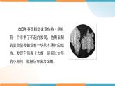 小学科学 教科版 六年级下册  《用显微镜观察身边的生命世界（一）》 PPT 课件