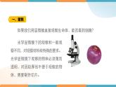 小学科学 教科版 六年级下册  《用显微镜观察身边的生命世界（一）》 PPT 课件