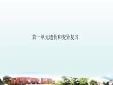 小学科学青岛版六三制六年级上册第一单元《遗传和变异》复习课件（2022）