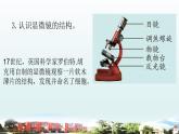小学科学青岛版六三制六年级上册第一单元《遗传和变异》复习课件（2022）