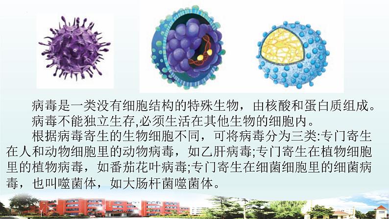 小学科学青岛版六三制六年级上册第二单元《微生物》复习课件（2022）04