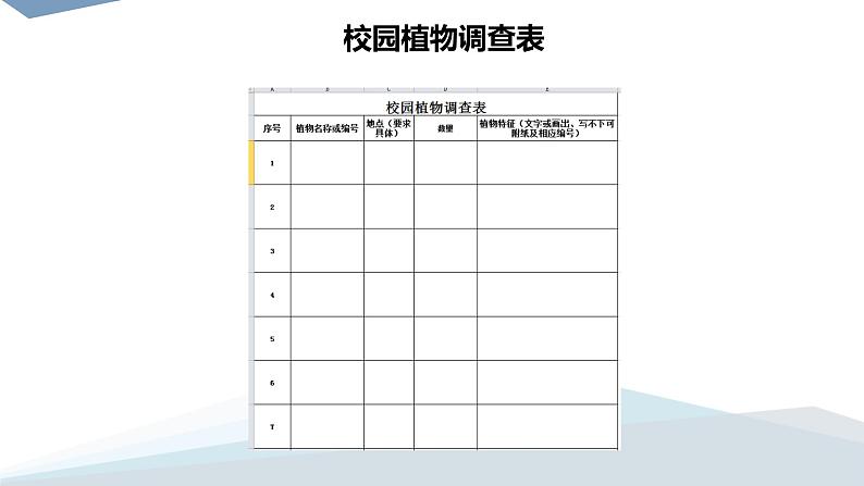 小学科学 教科版 六年级 校园生物分布图  课件第8页