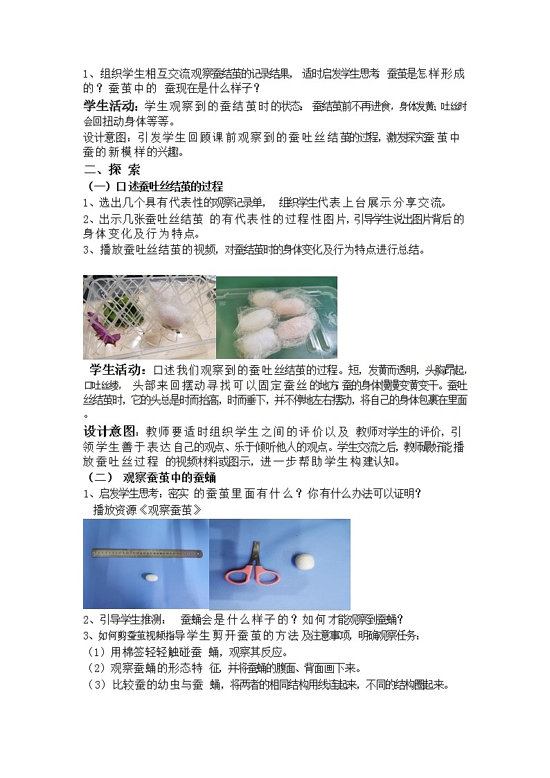 小学 三年级 科学 蚕变了新模样 教学设计第2页