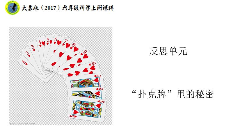 新课标大象版（2017）六年级科学上册反思单元“扑克牌”里的秘密课件+素材01
