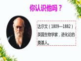 大象版科学（2017）三年级上册反思单元《达尔文给我们的启迪》课件