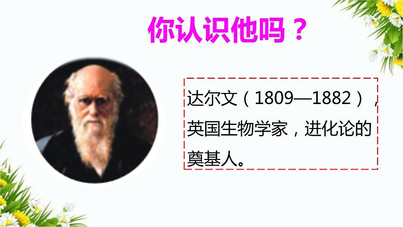 大象版科学（2017）三年级上册反思单元《达尔文给我们的启迪》课件02