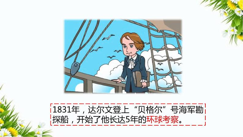 大象版科学（2017）三年级上册反思单元《达尔文给我们的启迪》课件03