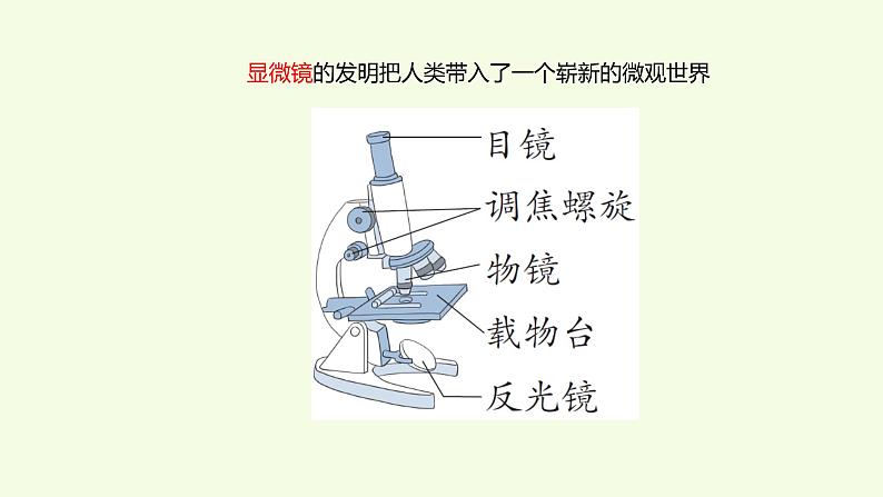 1 、《细胞》教学课件04