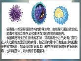 青岛版科学（2017）六年级上册第二单元《微生物》复习课件