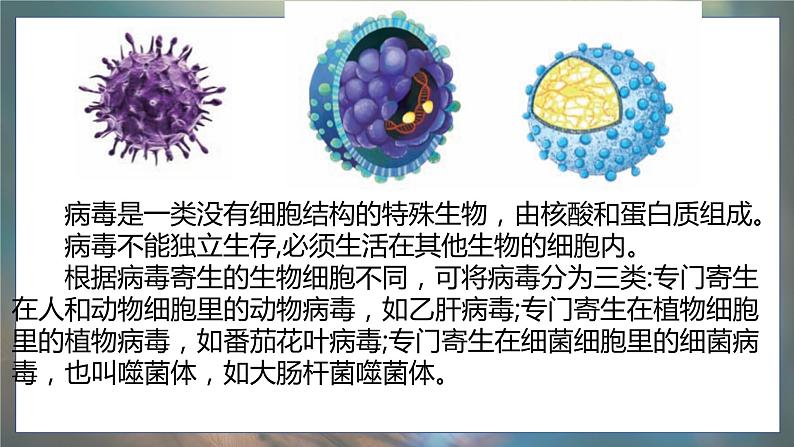 青岛版科学（2017）六年级上册第二单元《微生物》复习课件第4页