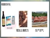 青岛版科学（2017）六年级上册第二单元《微生物》复习课件