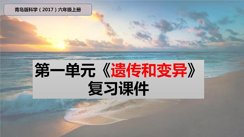 青岛版科学（2017）六年级上册第一单元《遗传和变异》复习课件第1页