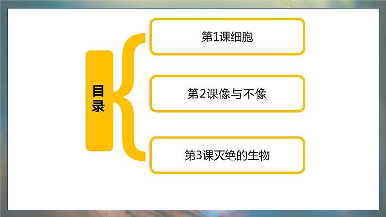 青岛版科学（2017）六年级上册第一单元《遗传和变异》复习课件第2页