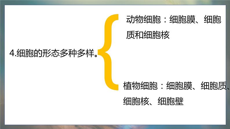 青岛版科学（2017）六年级上册第一单元《遗传和变异》复习课件第6页