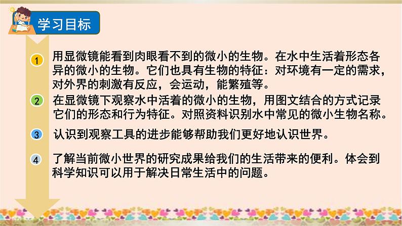 教科版六年级科学上册课件 1微小世界 6 观察水中的微小生物02