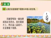 教科版六年级科学上册课件 1微小世界 6 观察水中的微小生物