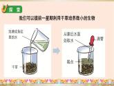 教科版六年级科学上册课件 1微小世界 6 观察水中的微小生物