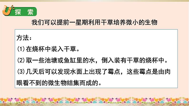 教科版六年级科学上册课件 1微小世界 6 观察水中的微小生物06