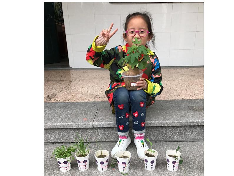 （8.19）一上《植物》教学资源 定稿 课件05