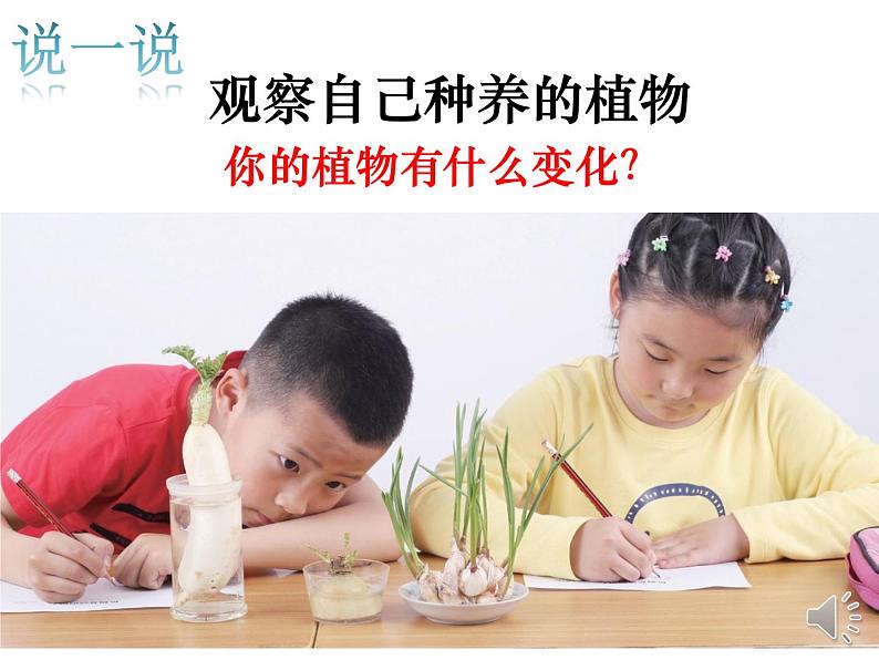 （8.19）一上《植物》教学资源 定稿 课件07