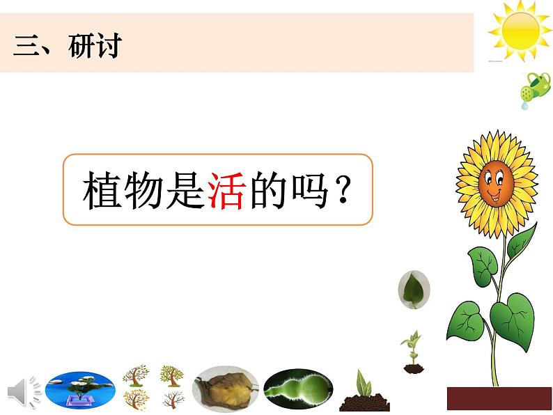 （8.19）一上《植物》教学资源 定稿 课件08