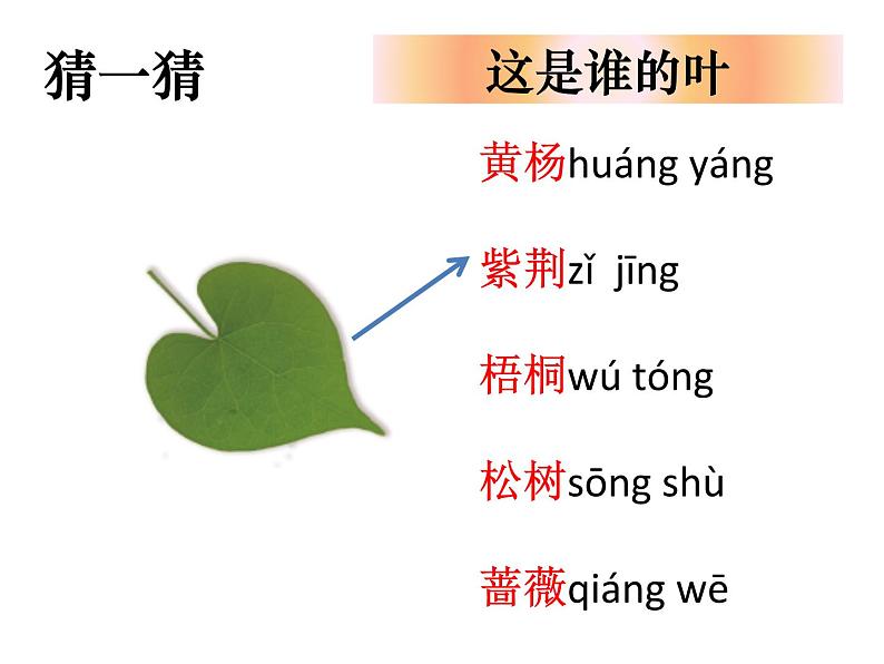 （8.19）一上《植物》教学资源 定稿 课件05