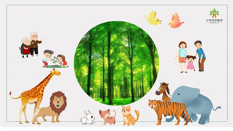 《植物》单元教学课件02