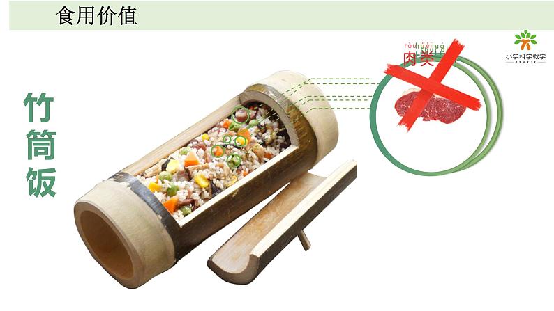 《植物》单元教学课件03