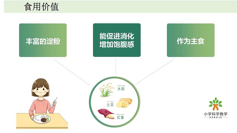 《植物》单元教学课件05