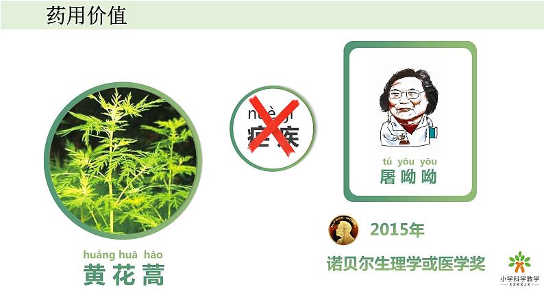《植物》单元教学课件08