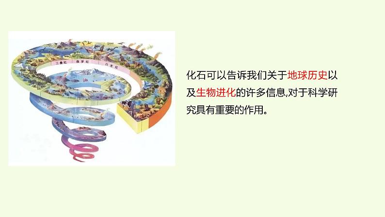 3 、《灭绝的生物》教学课件第3页