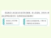 12 安全用药拓展课件——青春期保健
