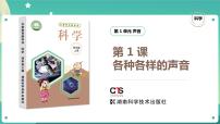 2020-2021学年1 各种各样的声音一等奖课件ppt