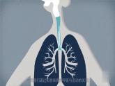 湘科版科学四年级上册：2.3 保护呼吸、消化器官 PPT课件+视频