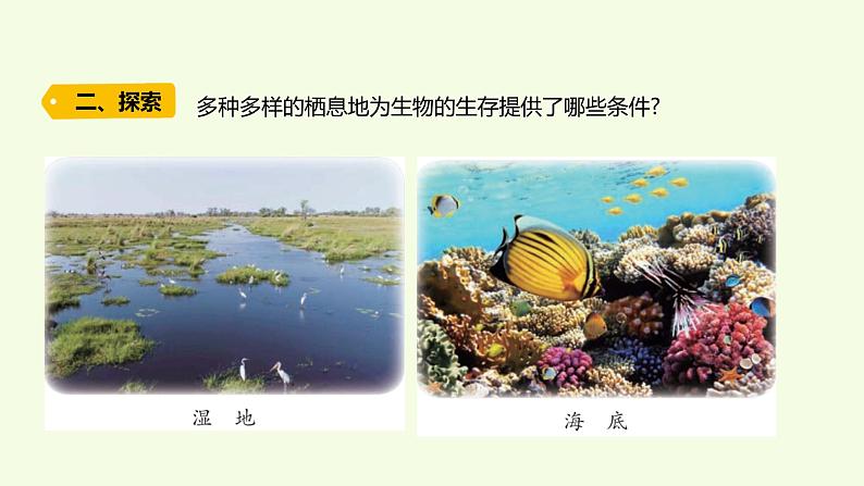 19 、《生物的栖息地》教学课件04