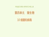 10、《 细菌和病毒》教学课件